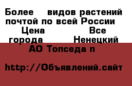 Более200 видов растений почтой по всей России › Цена ­ 100-500 - Все города  »    . Ненецкий АО,Топседа п.